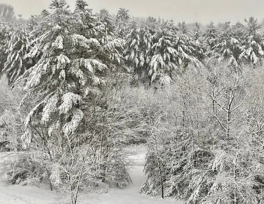 302 Southfield Lane Peterborough NH 03458