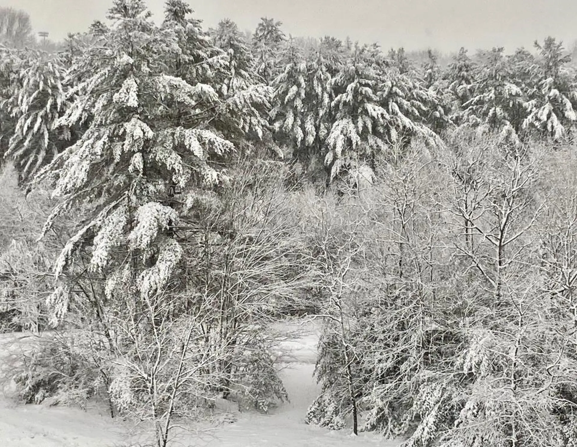 302 Southfield Lane Peterborough NH 03458