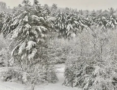 302 Southfield Lane Peterborough NH 03458