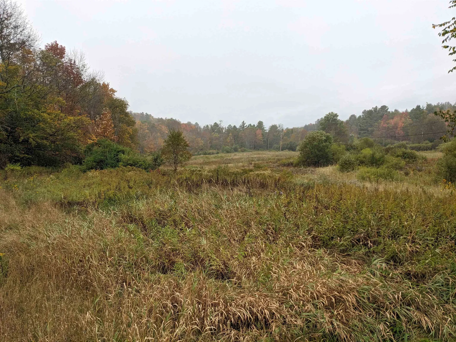 461 Wilmouth Hill Road Shrewsbury VT 05738