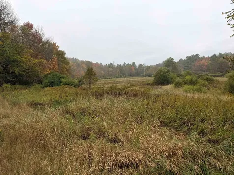 461 Wilmouth Hill Road Shrewsbury VT 05738