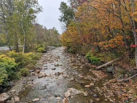 461 Wilmouth Hill Road Shrewsbury VT 05738