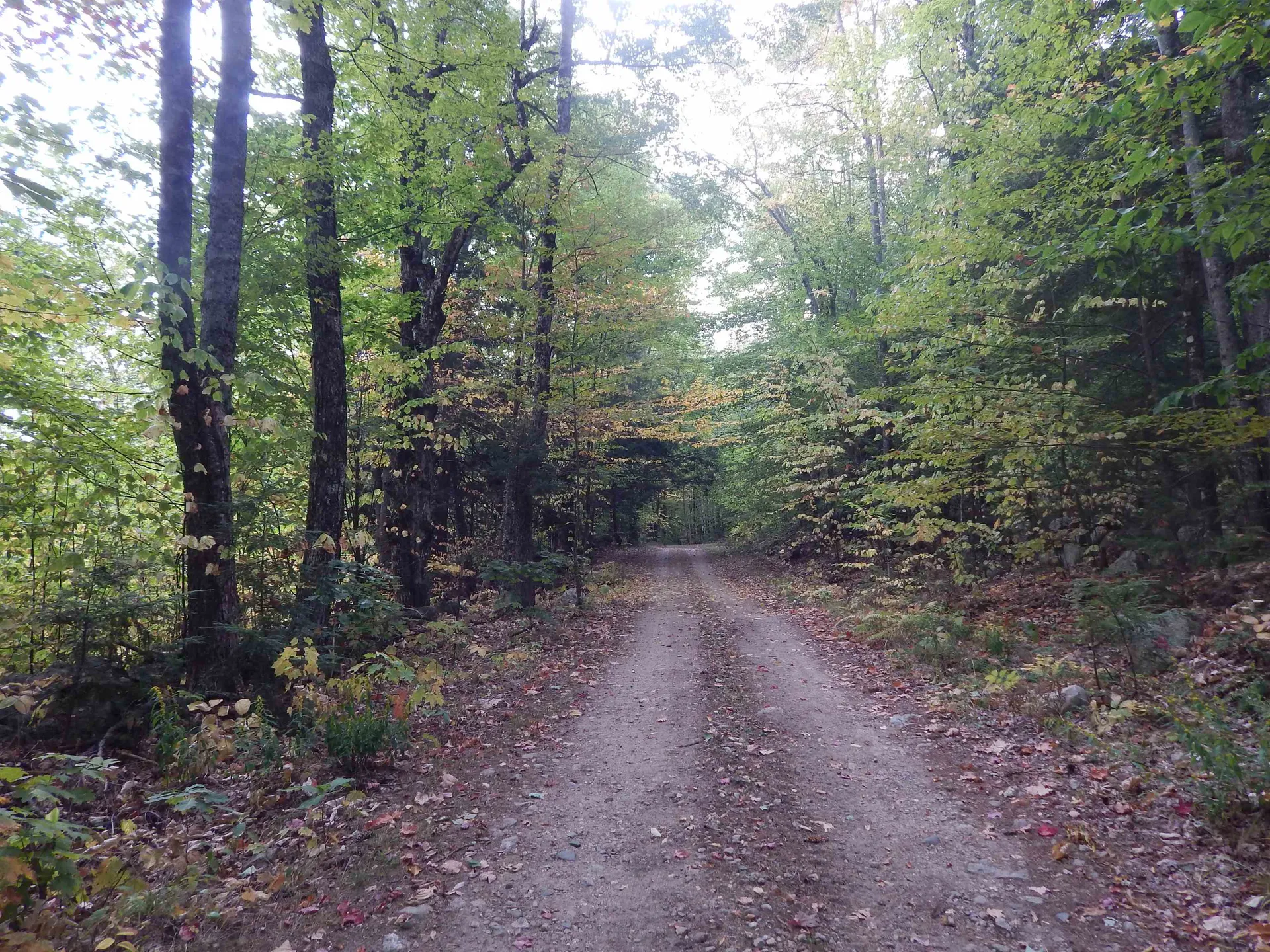 R13l50 Corn Hill Road Brownfield ME 04010