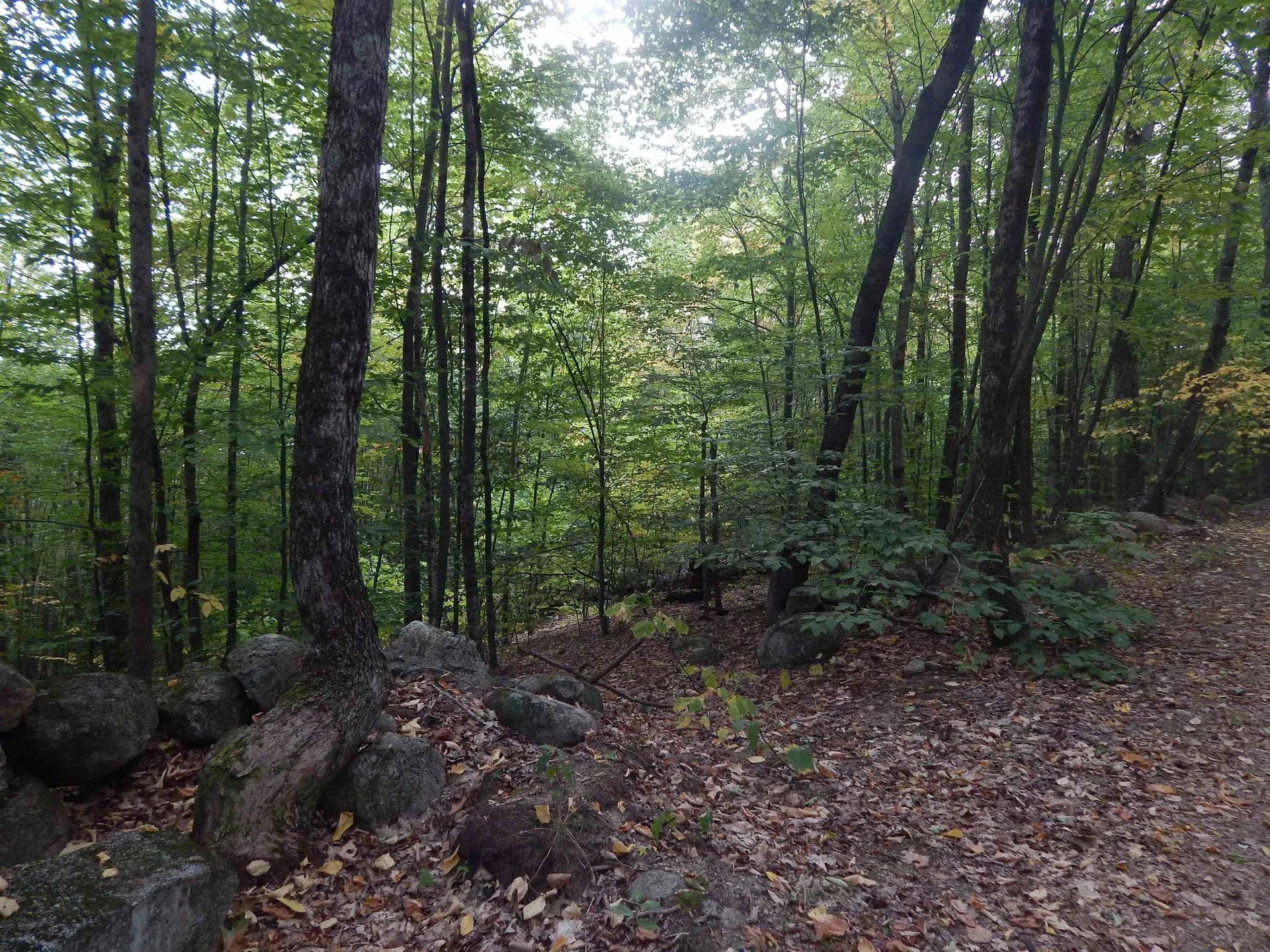 R13l50 Corn Hill Road Brownfield ME 04010