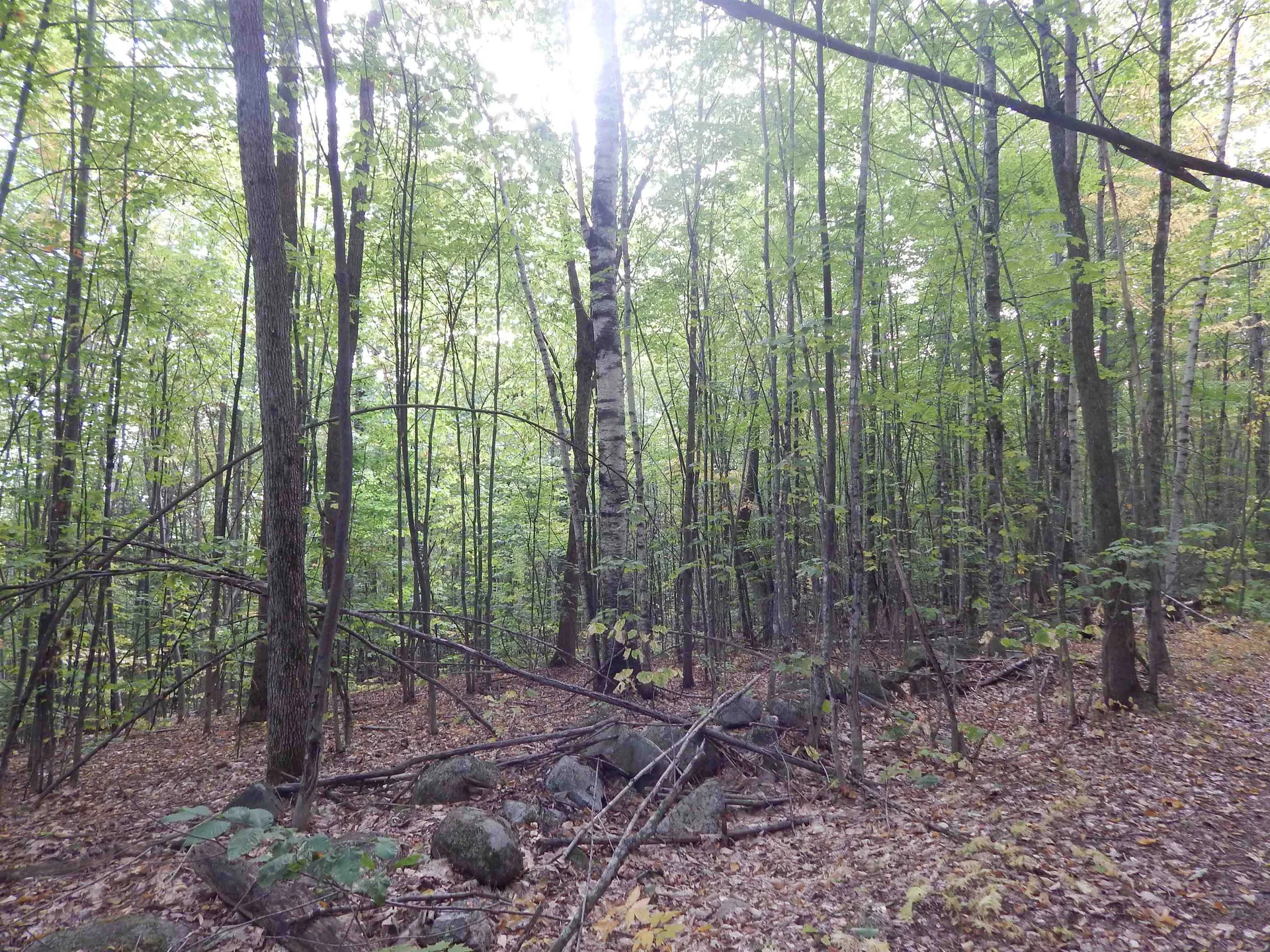 R13l50 Corn Hill Road Brownfield ME 04010