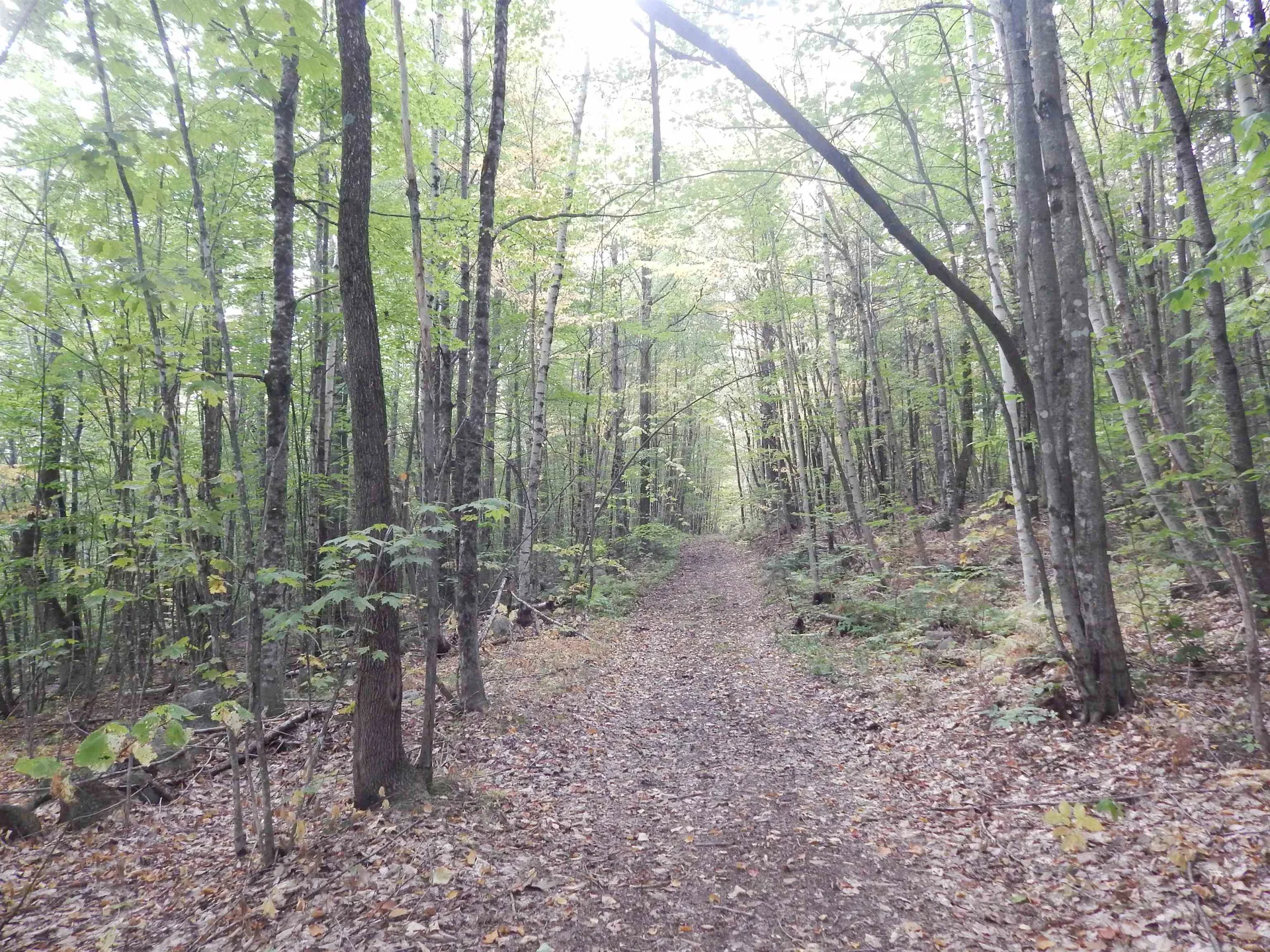 R13l50 Corn Hill Road Brownfield ME 04010