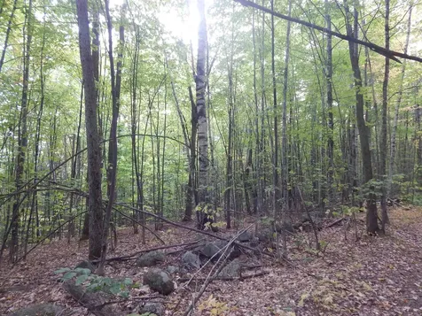 R13l50 Corn Hill Road Brownfield ME 04010