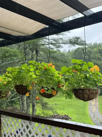 39 Prescott Road Raymond NH 03077