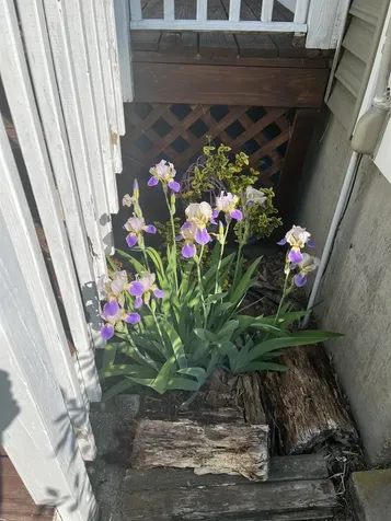 39 Prescott Road Raymond NH 03077