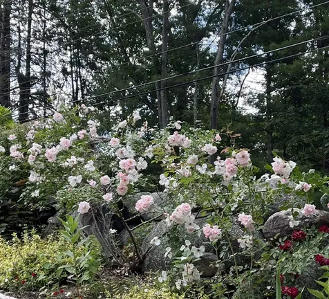 39 Prescott Road Raymond NH 03077