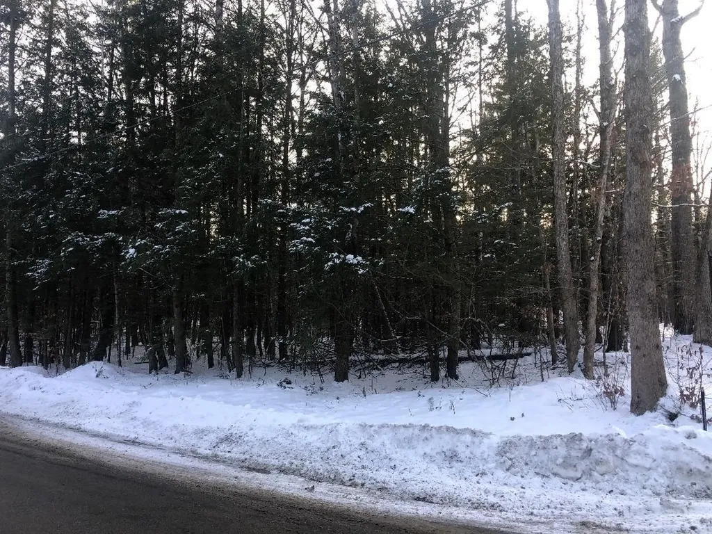 122 Centennial Drive Webster NH 03303