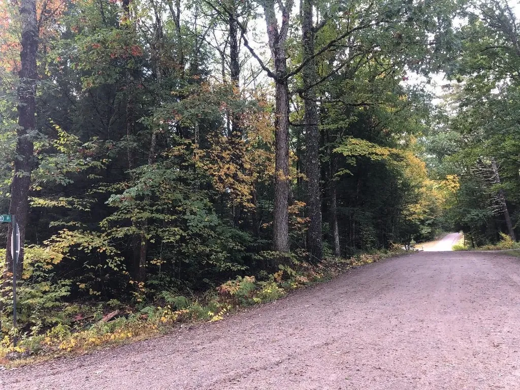 122 Centennial Drive Webster NH 03303