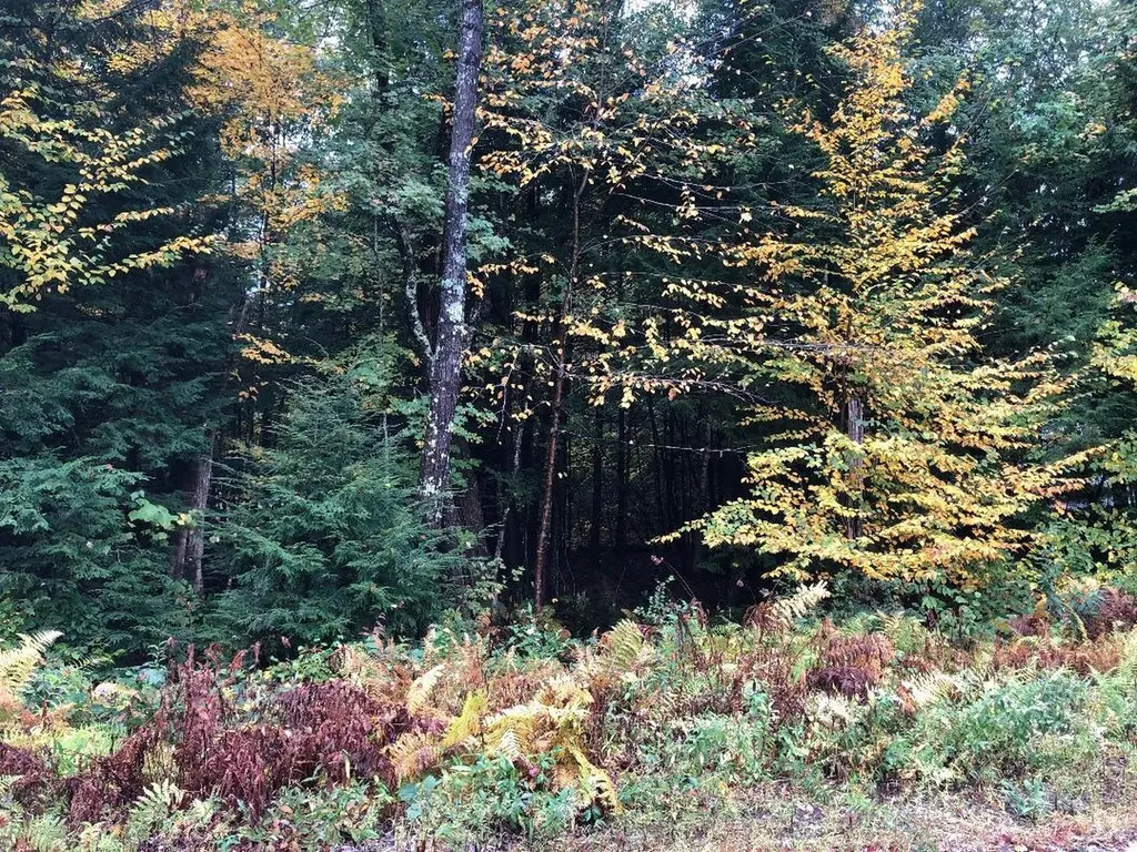 122 Centennial Drive Webster NH 03303