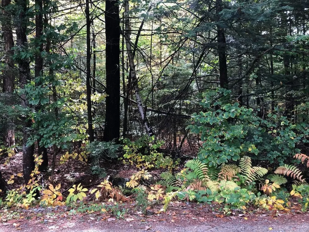 122 Centennial Drive Webster NH 03303