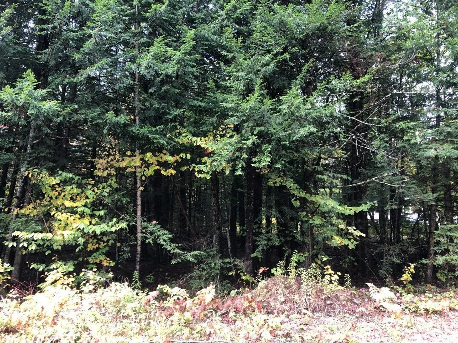 122 Centennial Drive Webster NH 03303