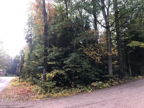 122 Centennial Drive Webster NH 03303