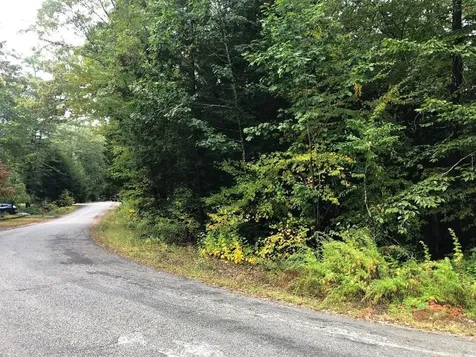 122 Centennial Drive Webster NH 03303