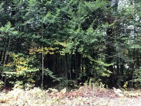 122 Centennial Drive Webster NH 03303