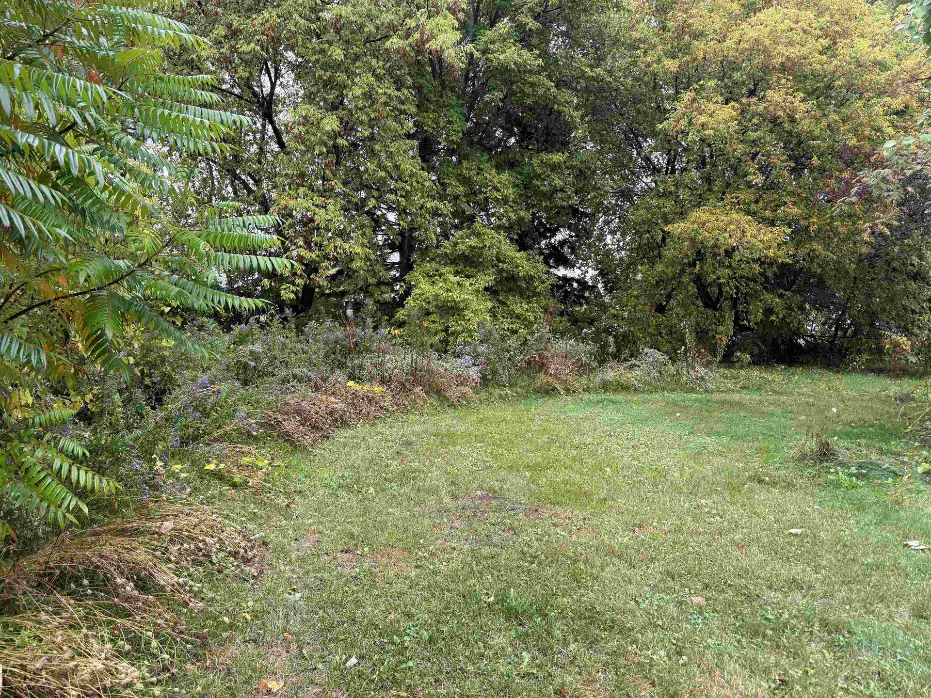 49 Liberty Street Swanton VT 05488