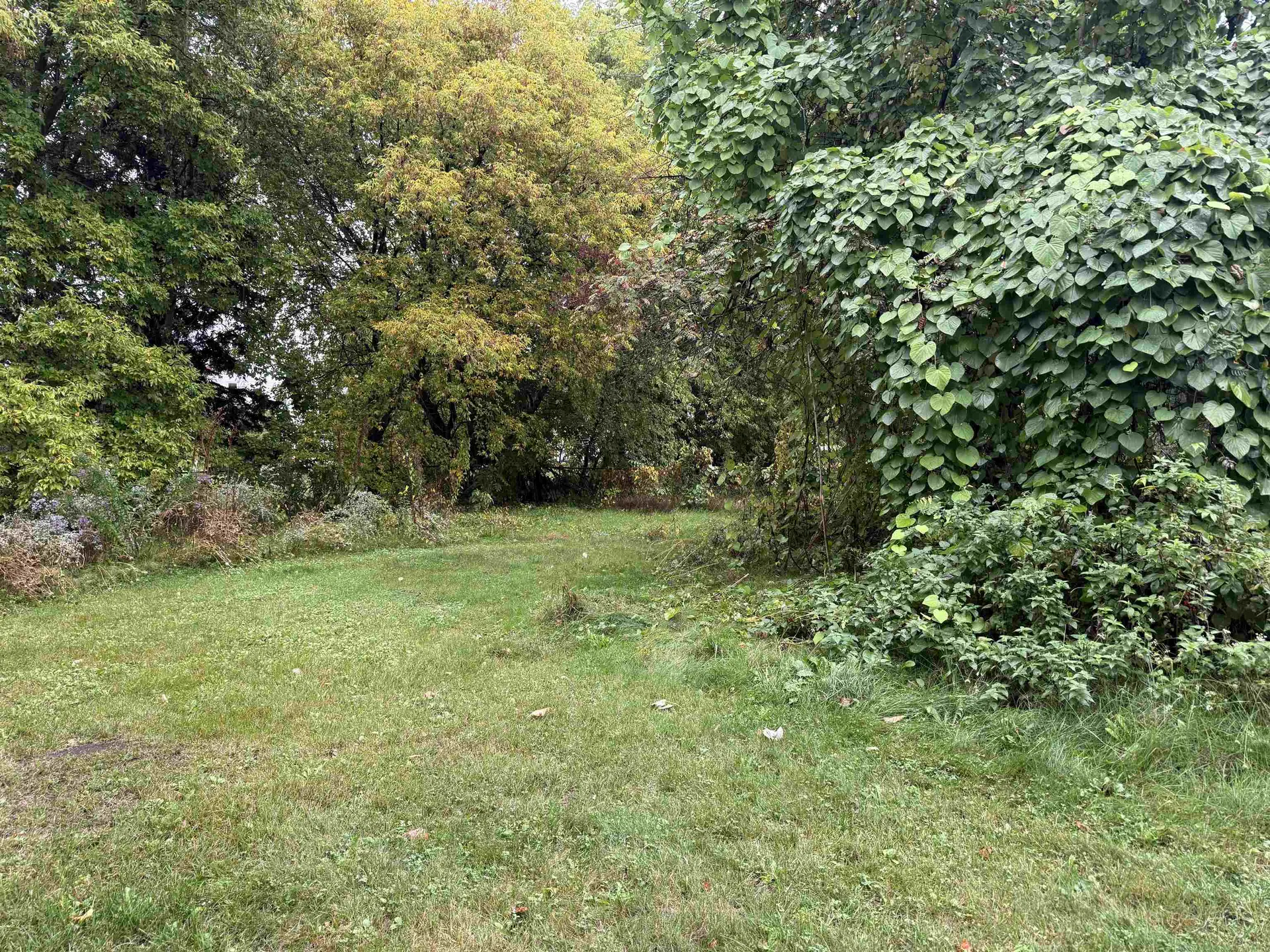 49 Liberty Street Swanton VT 05488