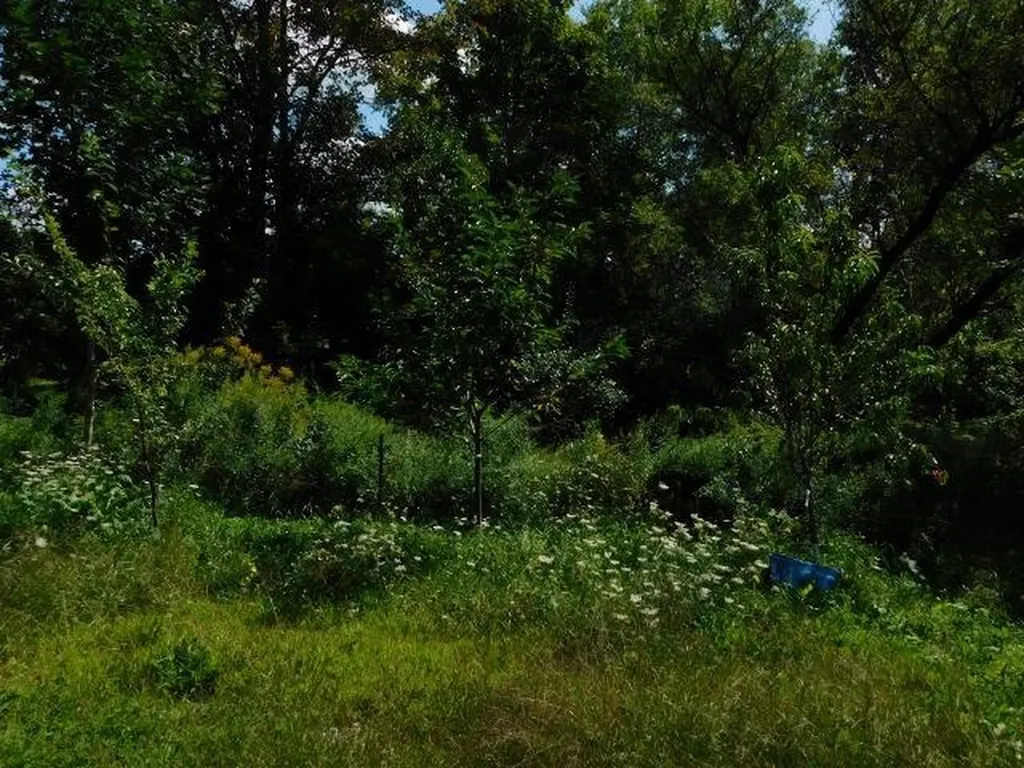 6 Mill Street Marlow NH 03456