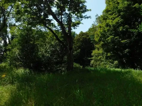 6 Mill Street Marlow NH 03456