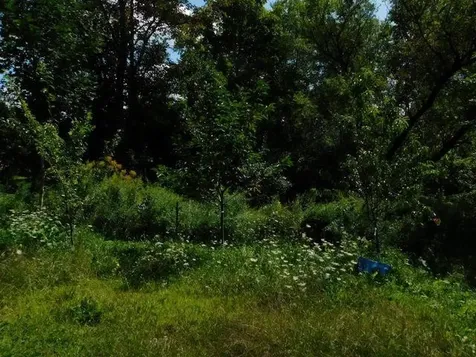 6 Mill Street Marlow NH 03456