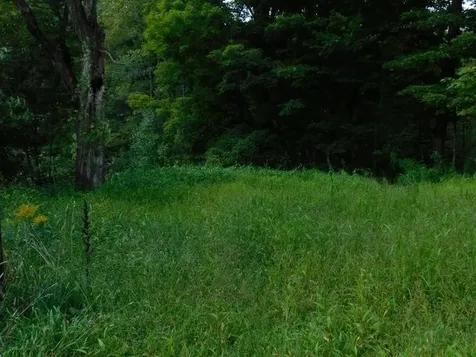 6 Mill Street Marlow NH 03456