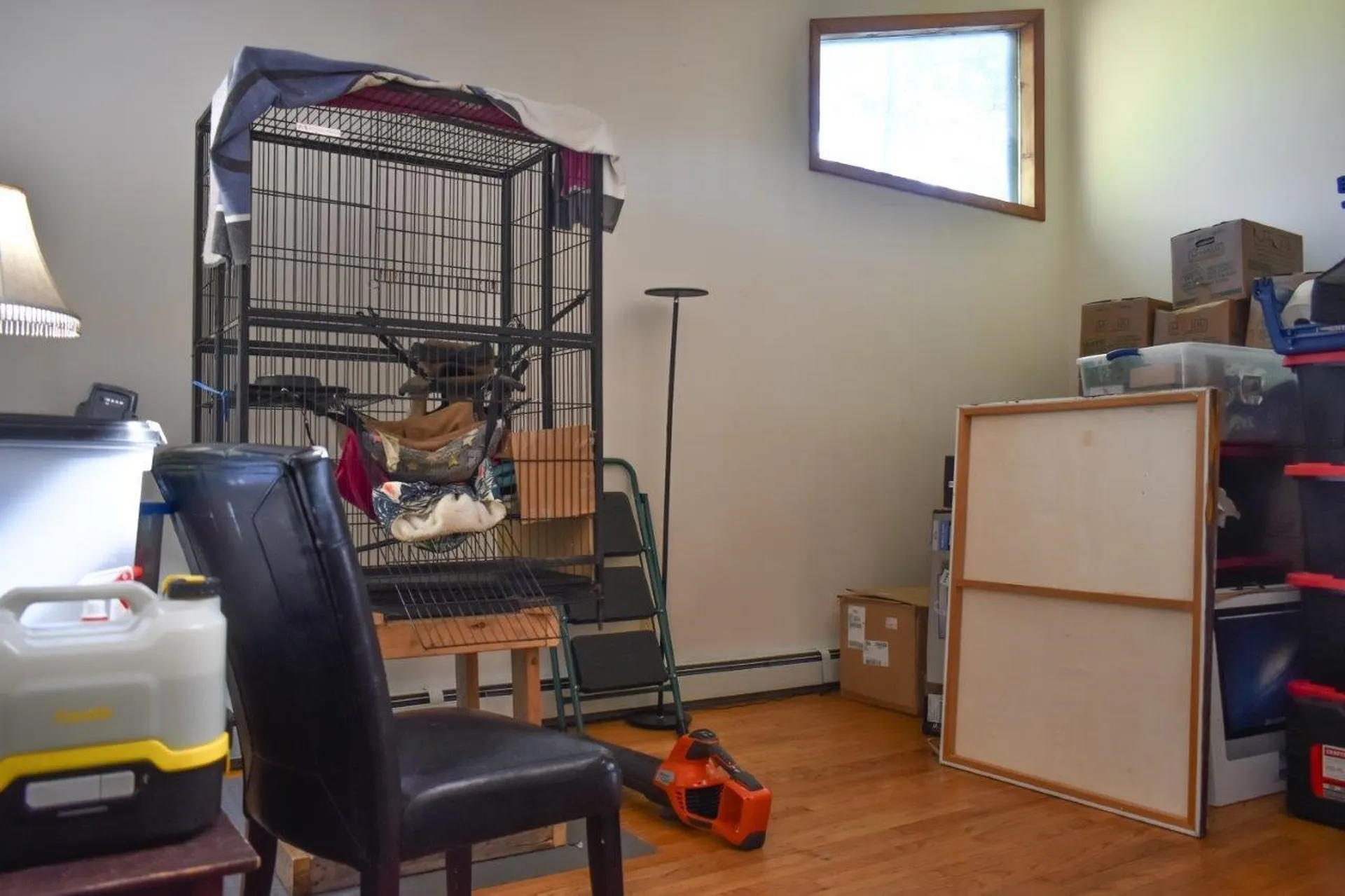 19 Monomonac Terrace Rindge NH 03461