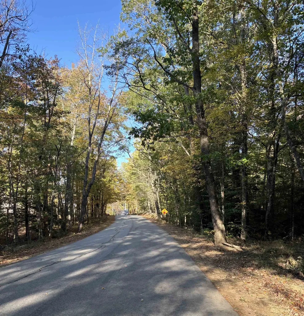 11-1 Parsons Hill Road Strafford NH 03884