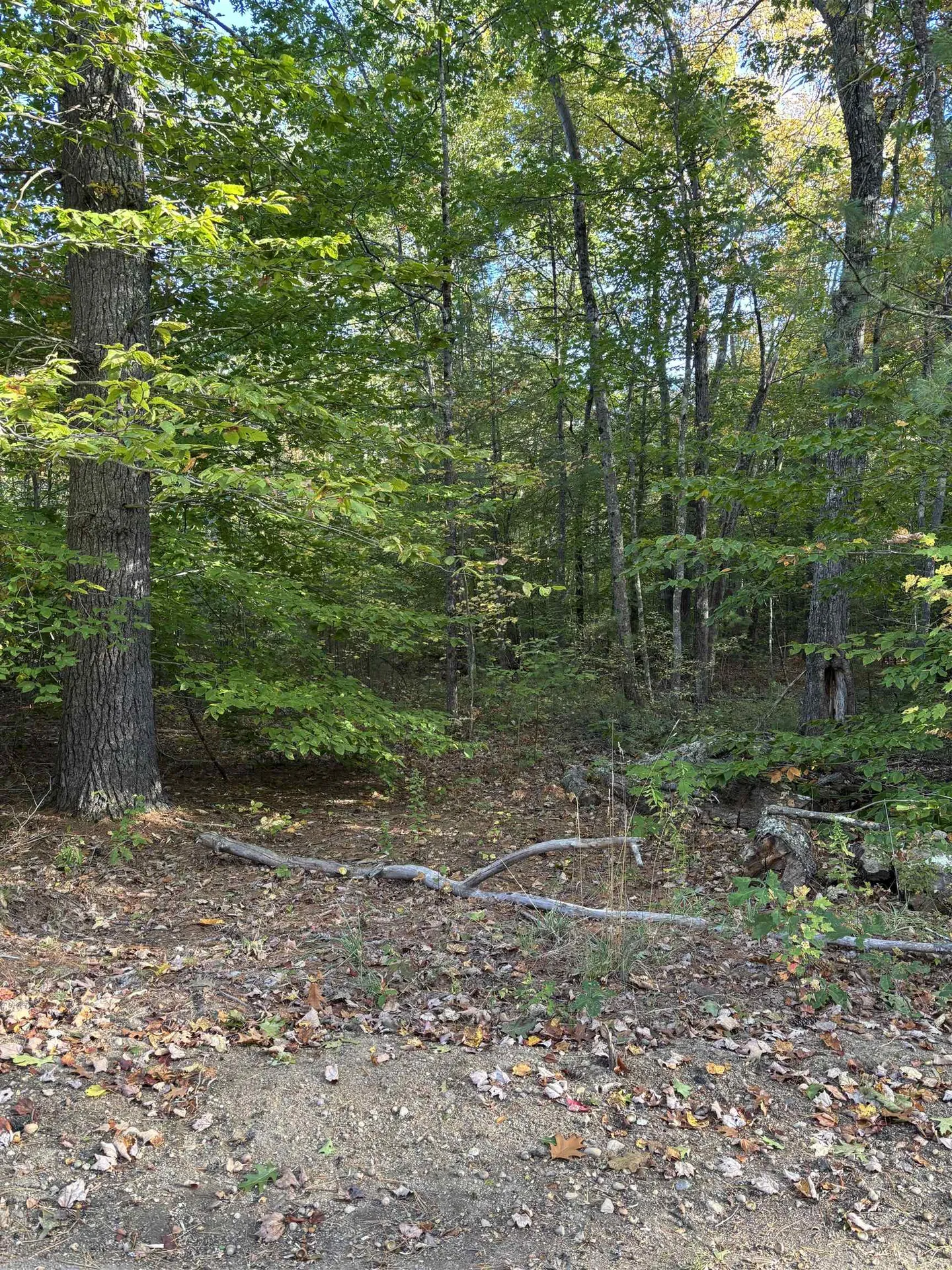 11-1 Parsons Hill Road Strafford NH 03884