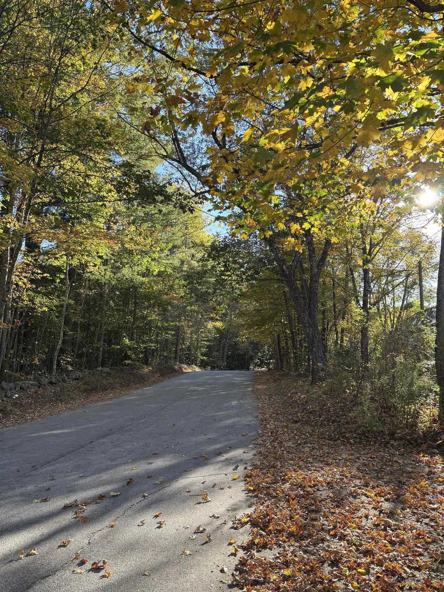 11-1 Parsons Hill Road Strafford NH 03884