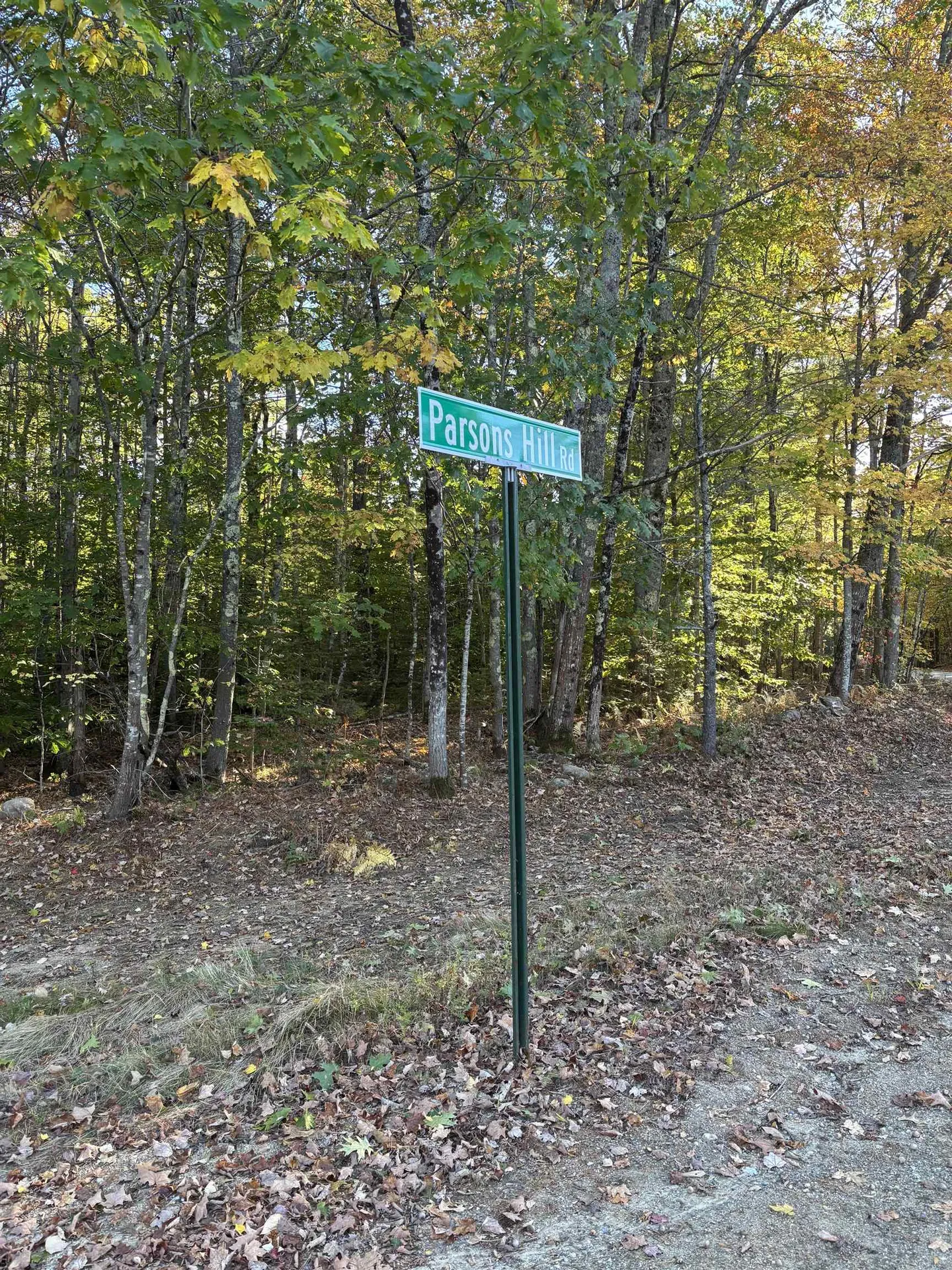 11-1 Parsons Hill Road Strafford NH 03884