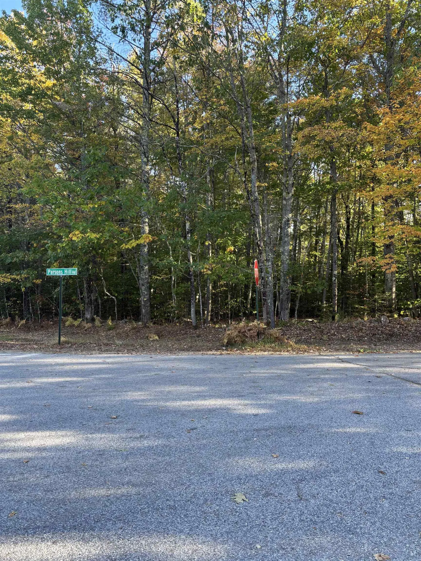 11-1 Parsons Hill Road Strafford NH 03884