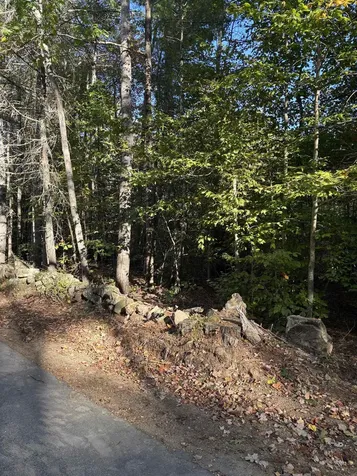 11-1 Parsons Hill Road Strafford NH 03884