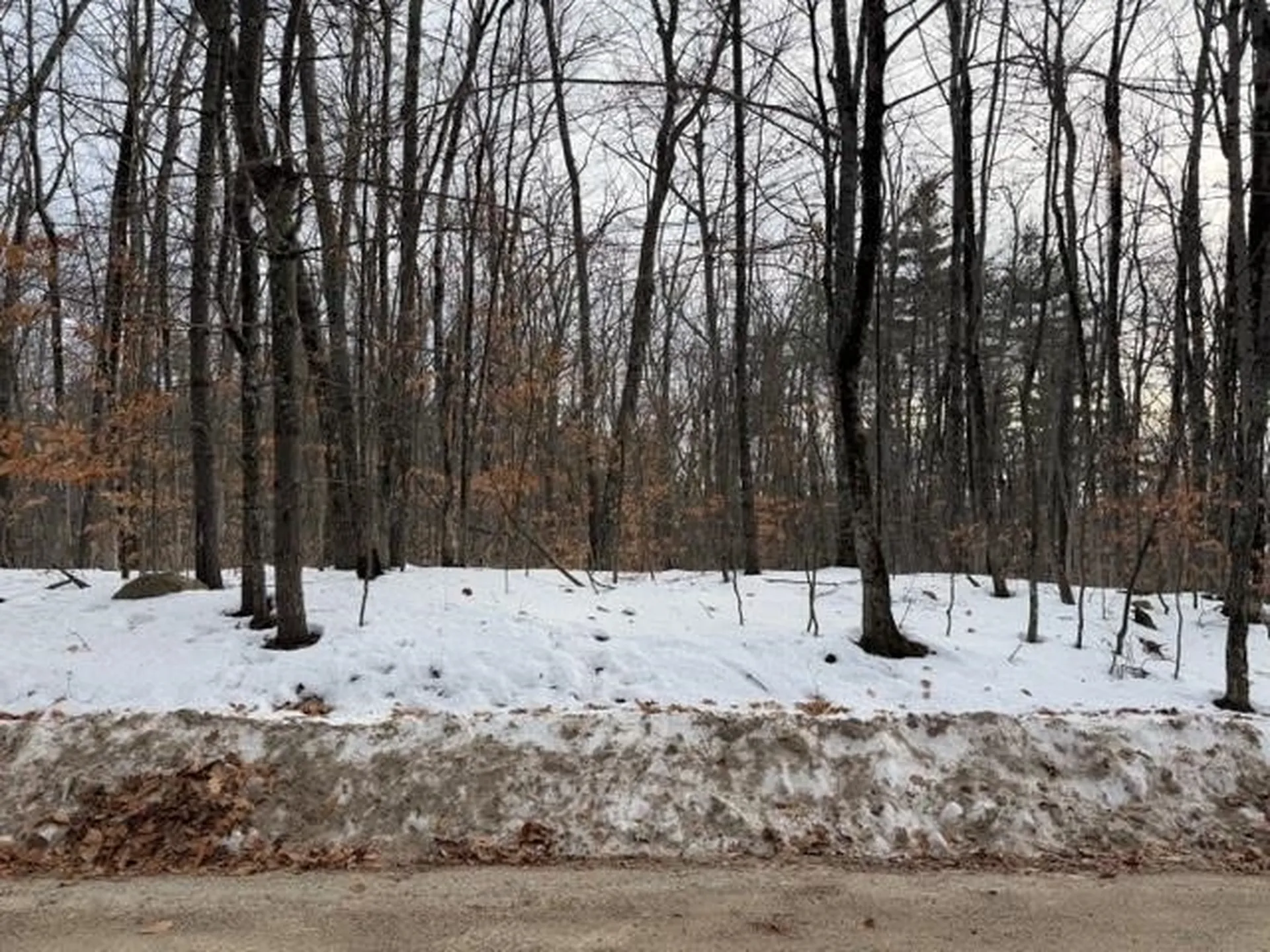 19 West Bergamo Road Madison NH 03849