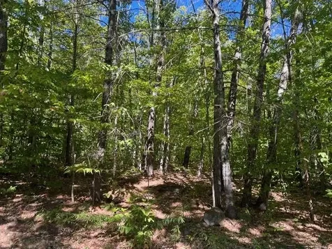 19 West Bergamo Road Madison NH 03849