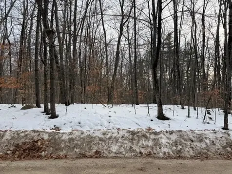 19 West Bergamo Road Madison NH 03849