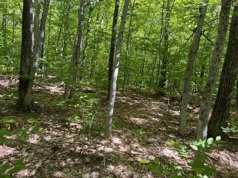 19 West Bergamo Road Madison NH 03849