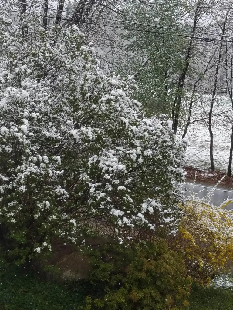 250 Joppa Hill Road Bedford NH 03110