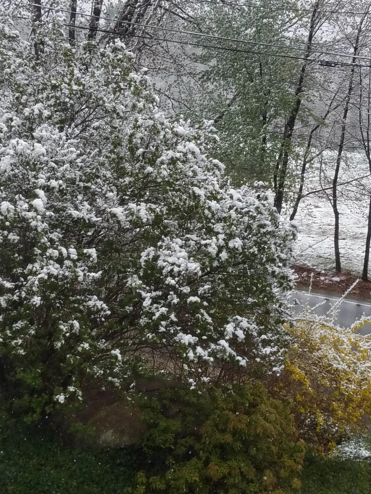 250 Joppa Hill Road Bedford NH 03110