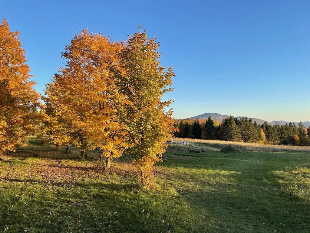 1417 Maple Ridge Road Newark VT 05871