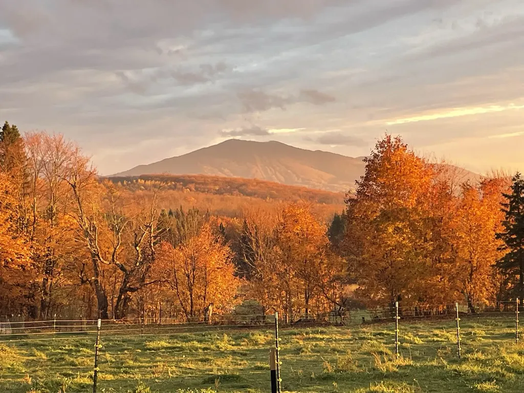 1417 Maple Ridge Road Newark VT 05871