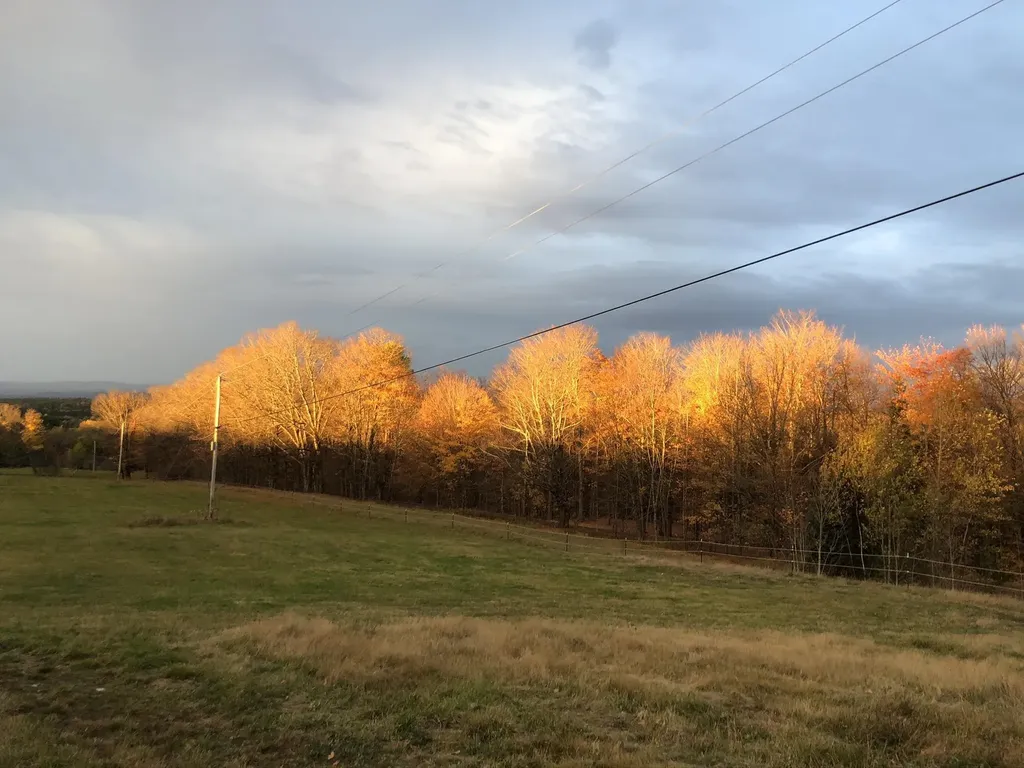 1417 Maple Ridge Road Newark VT 05871