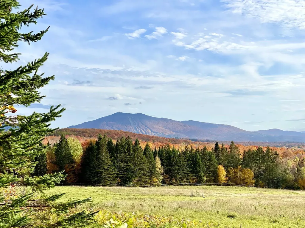 1417 Maple Ridge Road Newark VT 05871