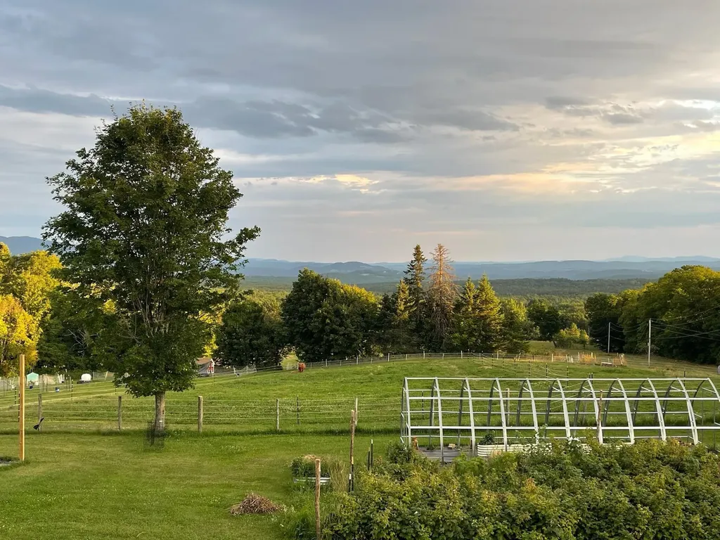 1417 Maple Ridge Road Newark VT 05871