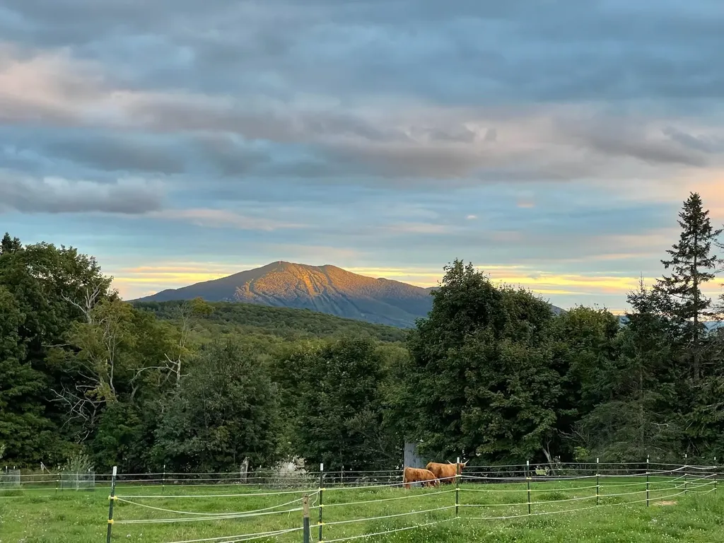 1417 Maple Ridge Road Newark VT 05871