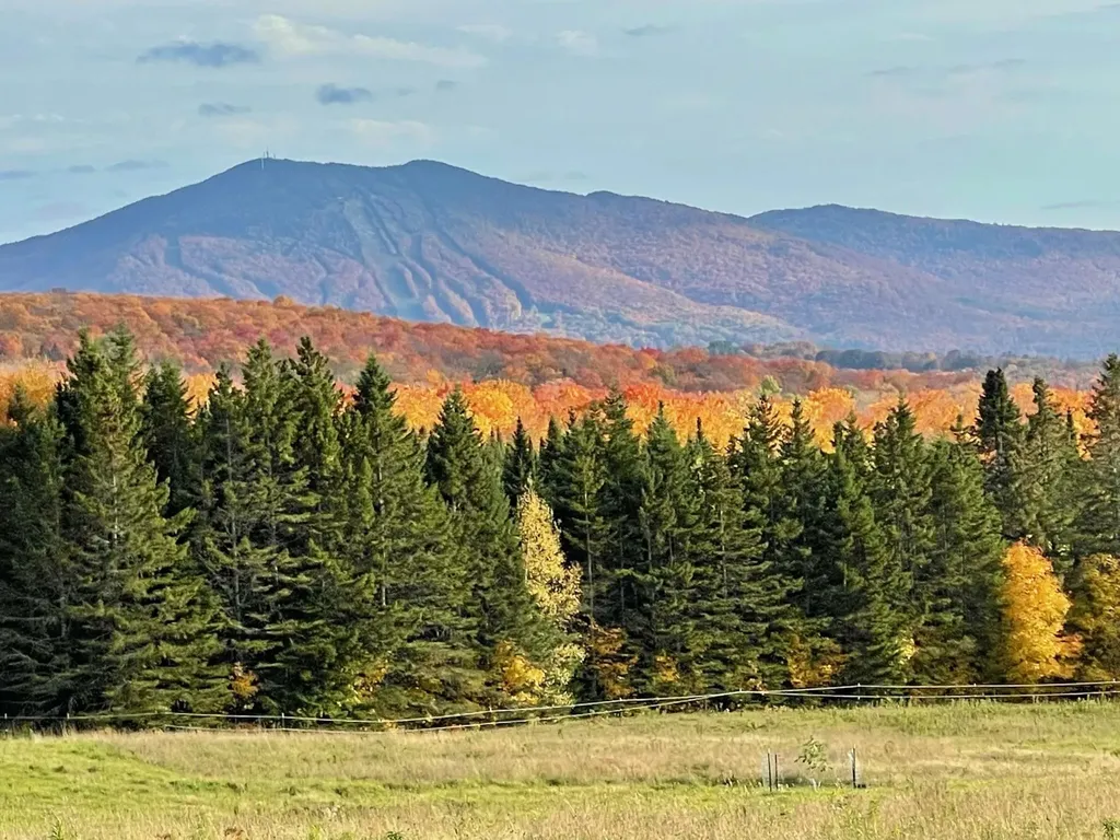 1417 Maple Ridge Road Newark VT 05871