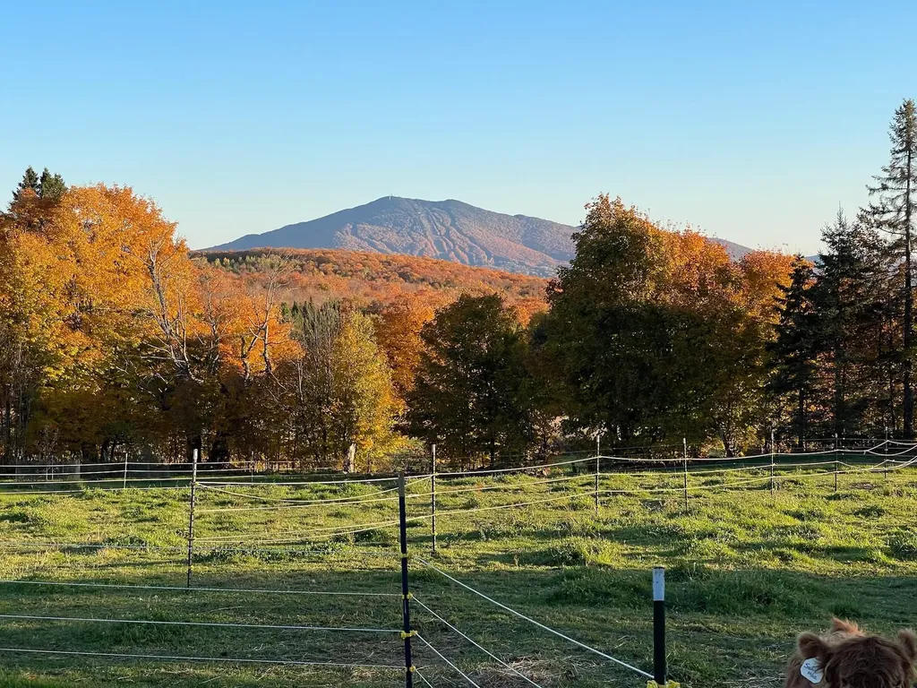 1417 Maple Ridge Road Newark VT 05871