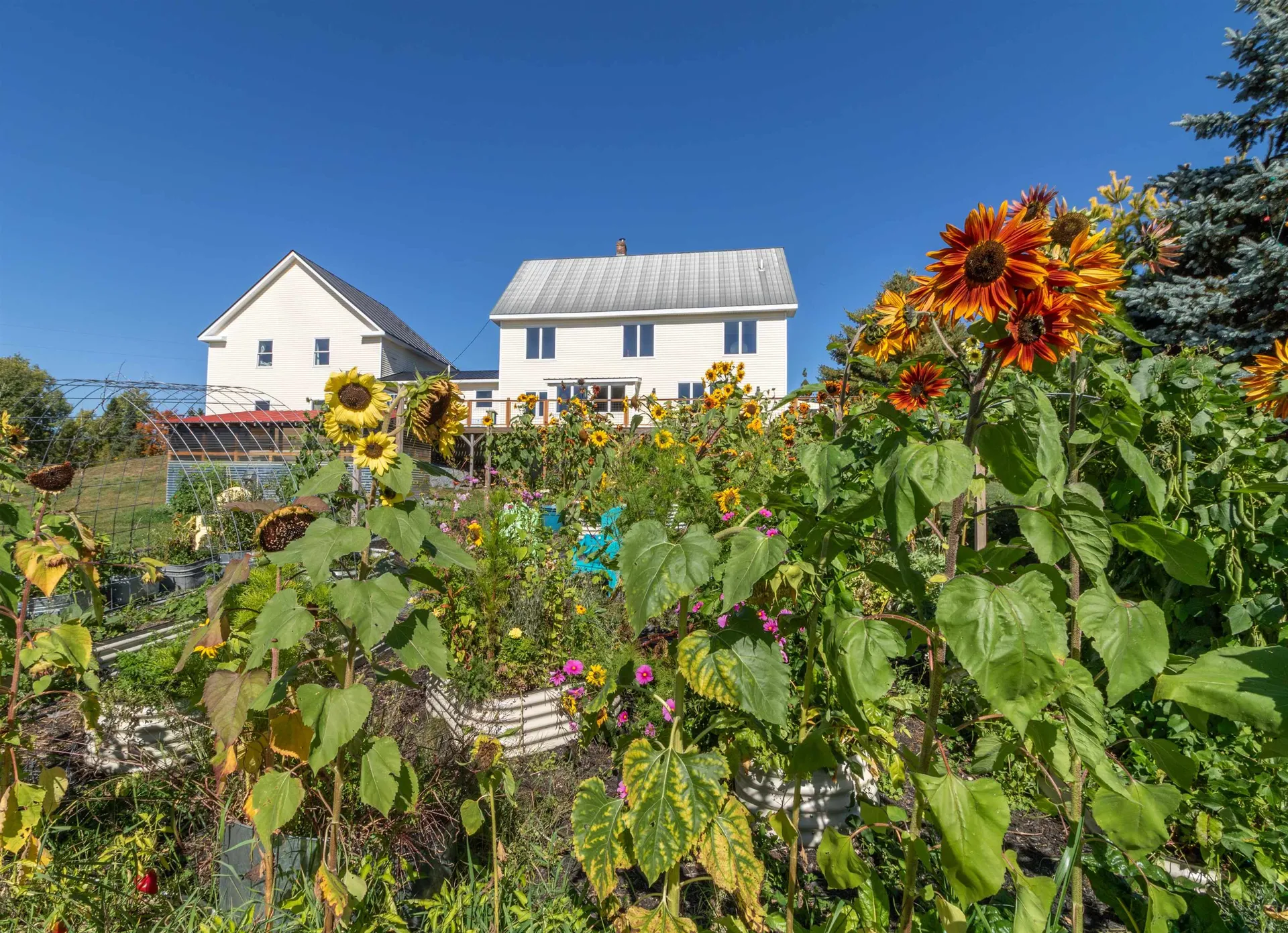 1417 Maple Ridge Road Newark VT 05871